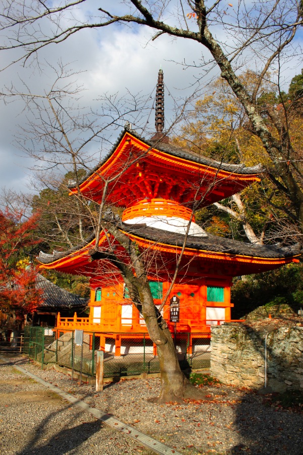 Wakayama En Vue! WAKAYAMA - kimiidera 1.jpg